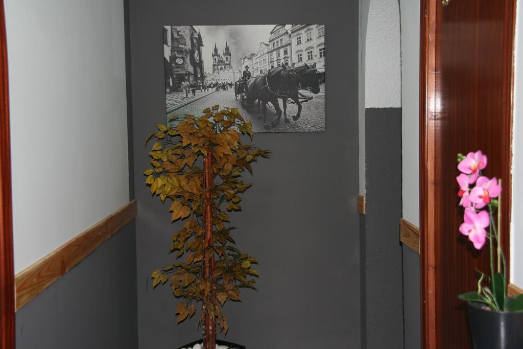 Hostal Restaurante Avenida De Madrid 테라사 외부 사진