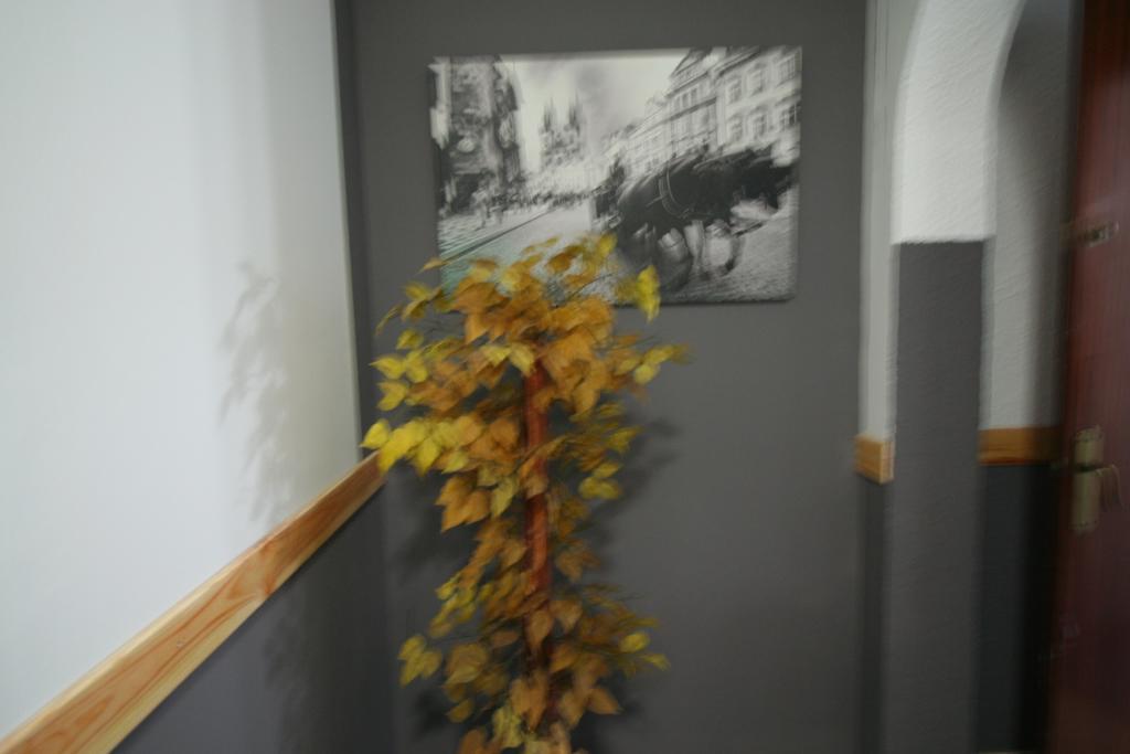 Hostal Restaurante Avenida De Madrid 테라사 외부 사진